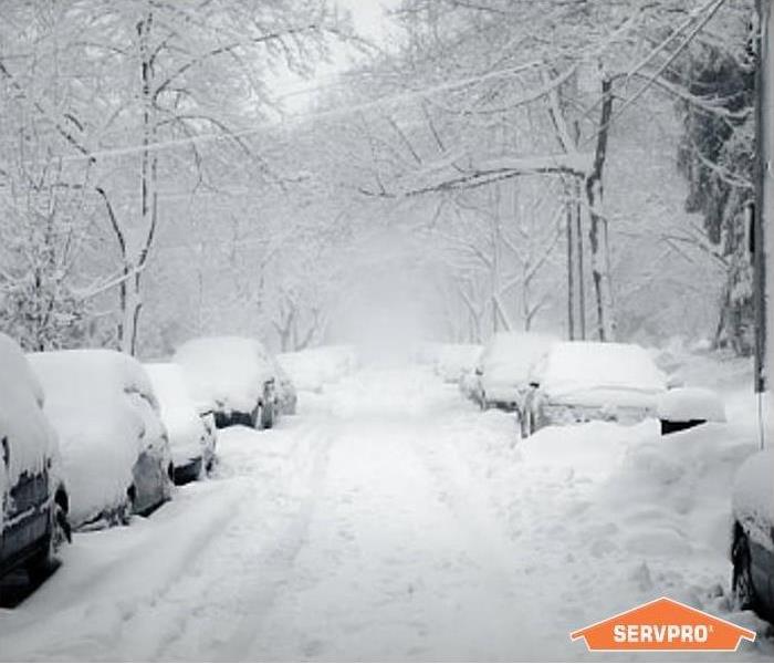 cars parked in winter with snow piled on them